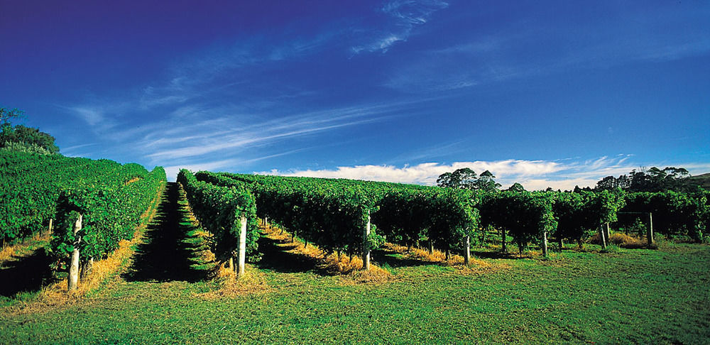 Vineyard Cottages - Kumeu Waimauku Dış mekan fotoğraf
