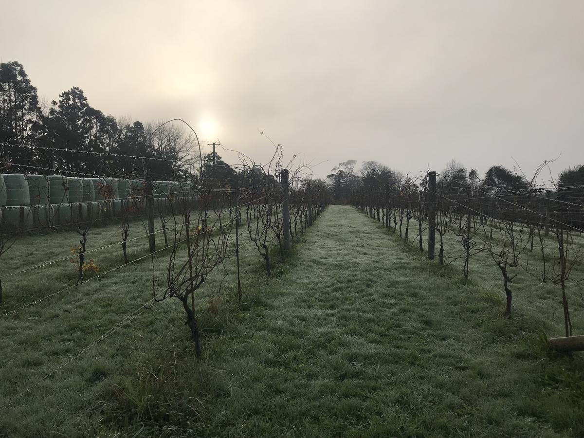 Vineyard Cottages - Kumeu Waimauku Dış mekan fotoğraf